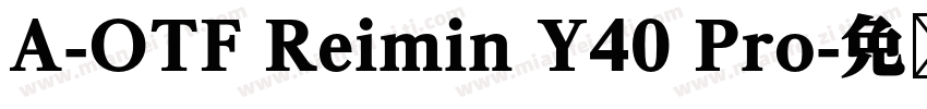 A-OTF Reimin Y40 Pro字体转换